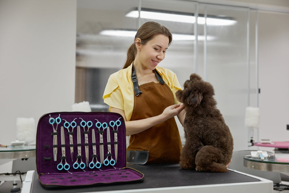 Preparing Puppies for Vet Visits