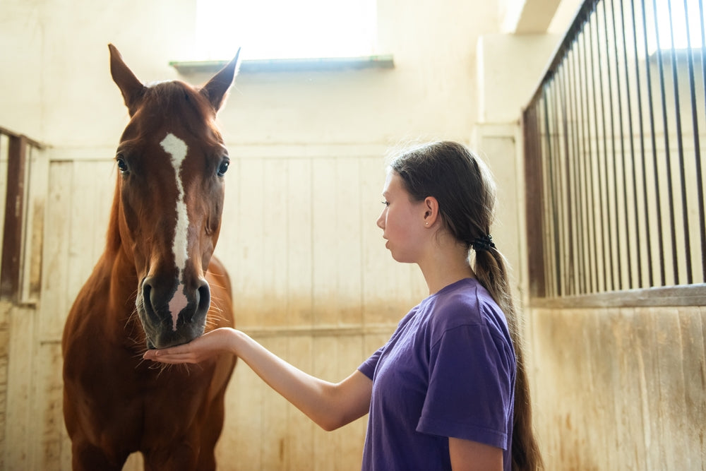 How to Prevent Gastric Ulcers in Horses