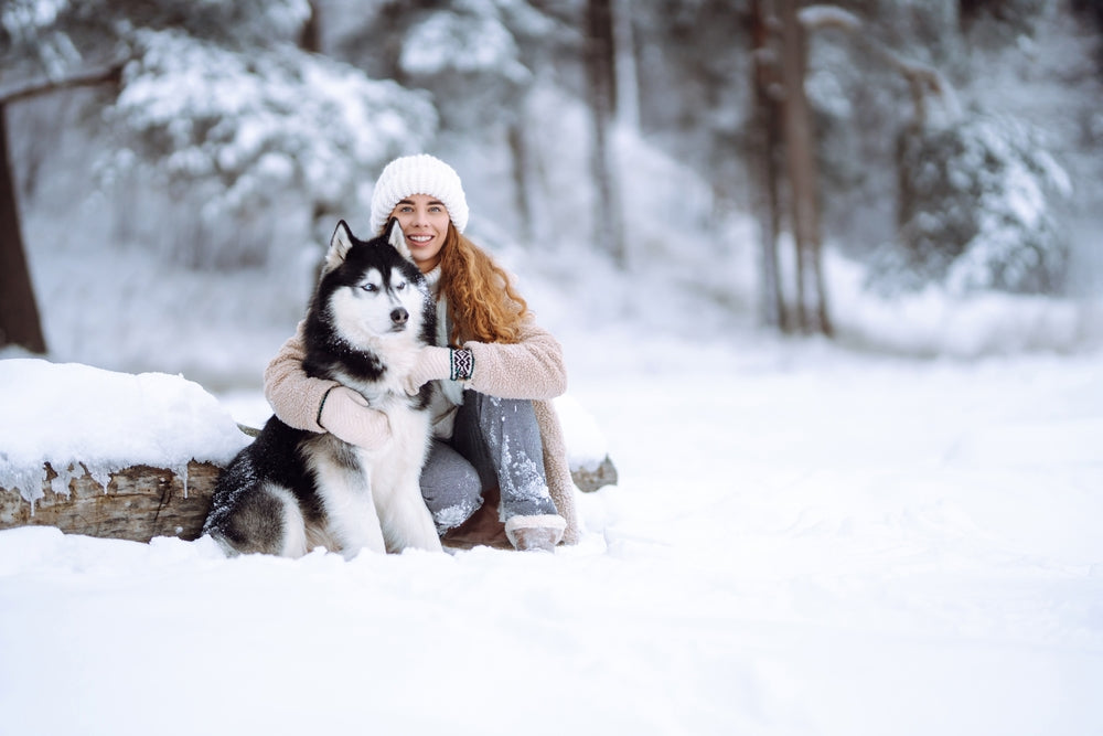 Vet-Approved Guide: The Winter Blues – What You Need to Know About Seasonal Depression and Pets ❄️🐾