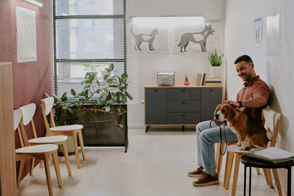Veterinary Waiting Room Etiquette: Plan a Calmer Visit