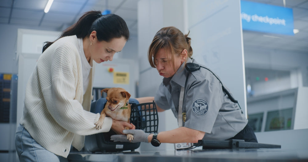 Traveling with Pets
