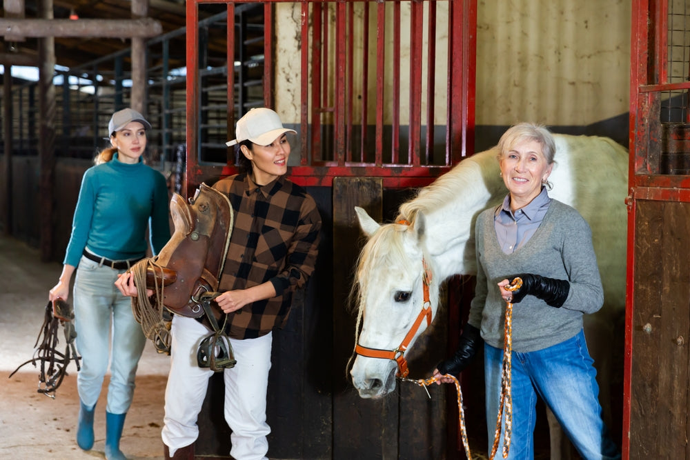 Do Older Horses Digest Feed Differently?