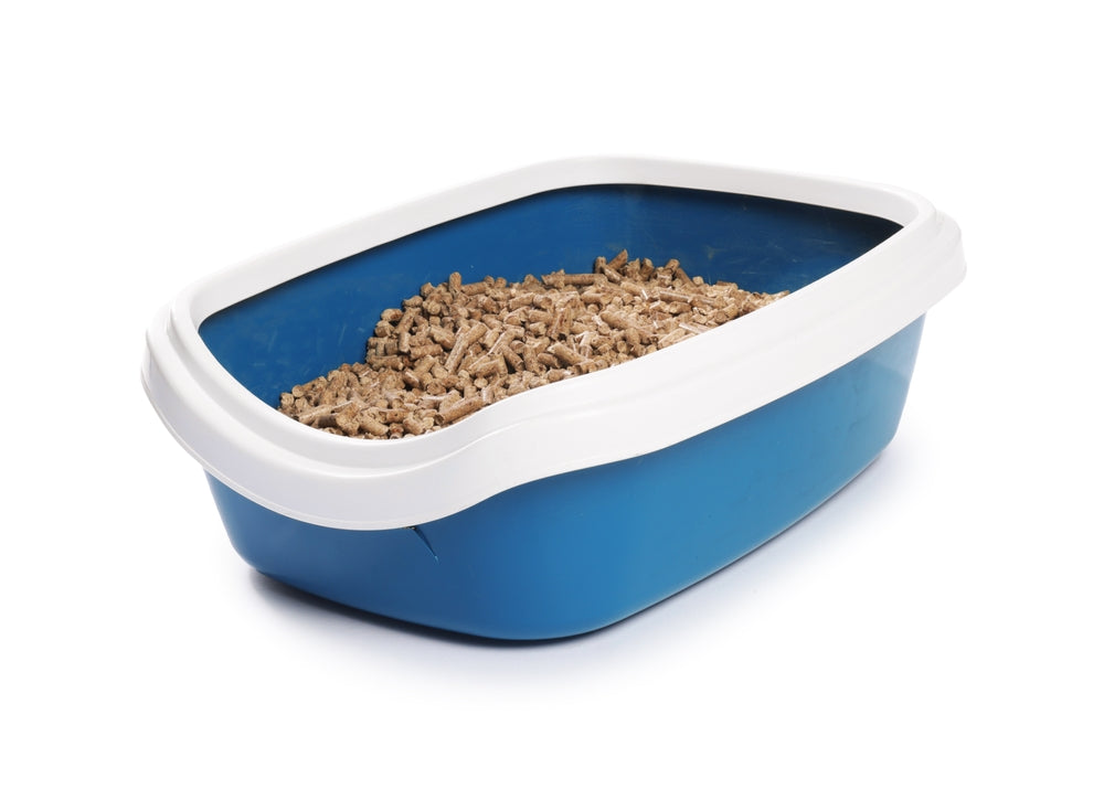 Blue litter tray with a white rim containing tan litter pellets.