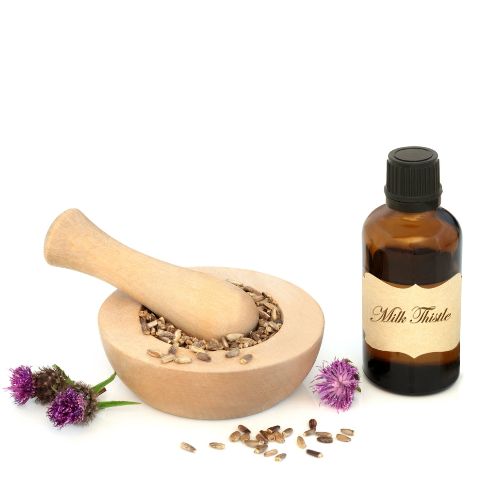 Silymarin (Milk Thistle) for Dogs and Cats
