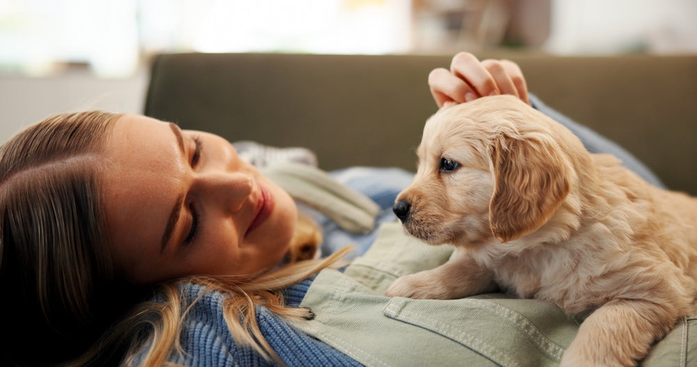 Does Pet Insurance Cover Pre-Existing Conditions? Questions to Ask