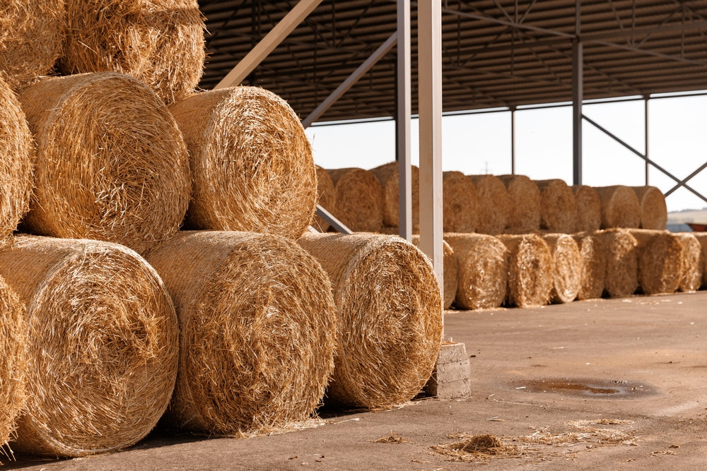 How To Store Round Bale Hay for Horses Safely