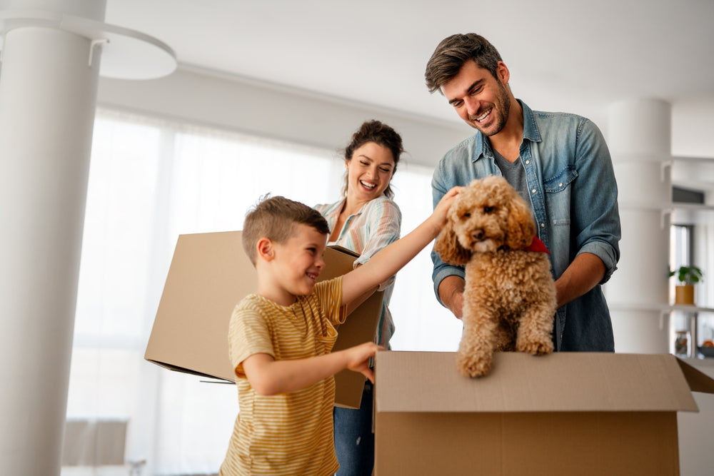 Moving House With Dogs and Cats: How to Help Them Settle