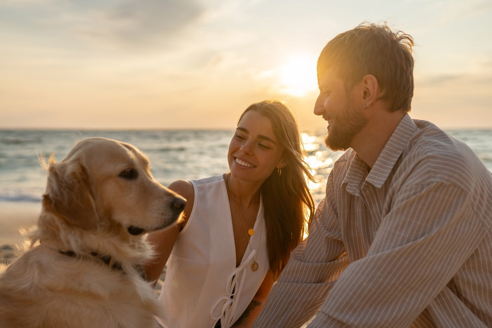 Summer Safety for Dogs and Cats: Heatstroke and Other Hazards