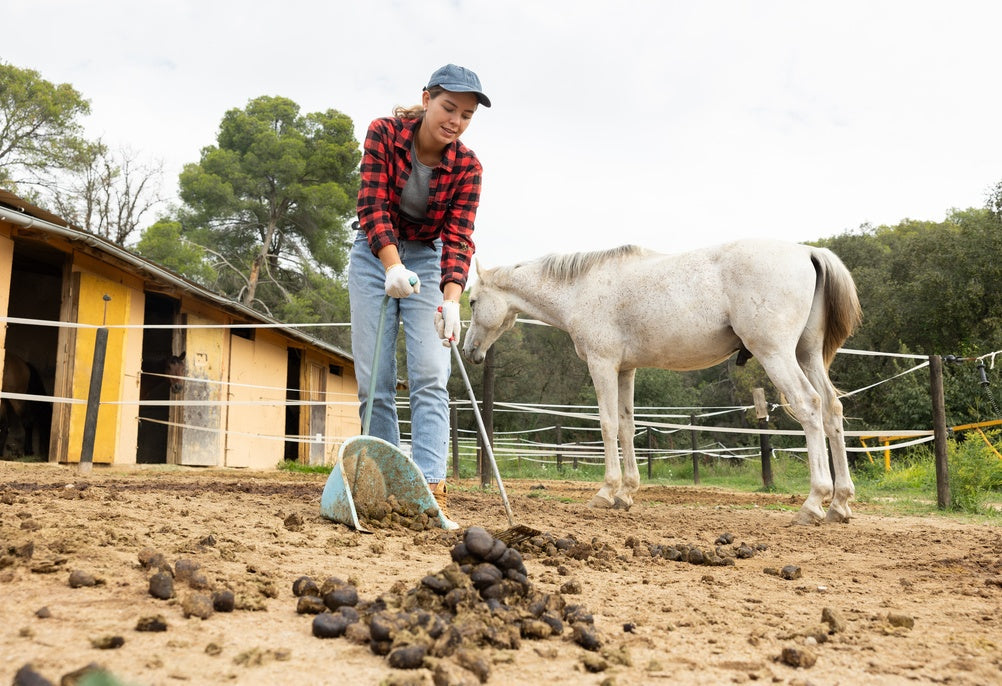 Horse Manure Management: Collection, Storage and Composting