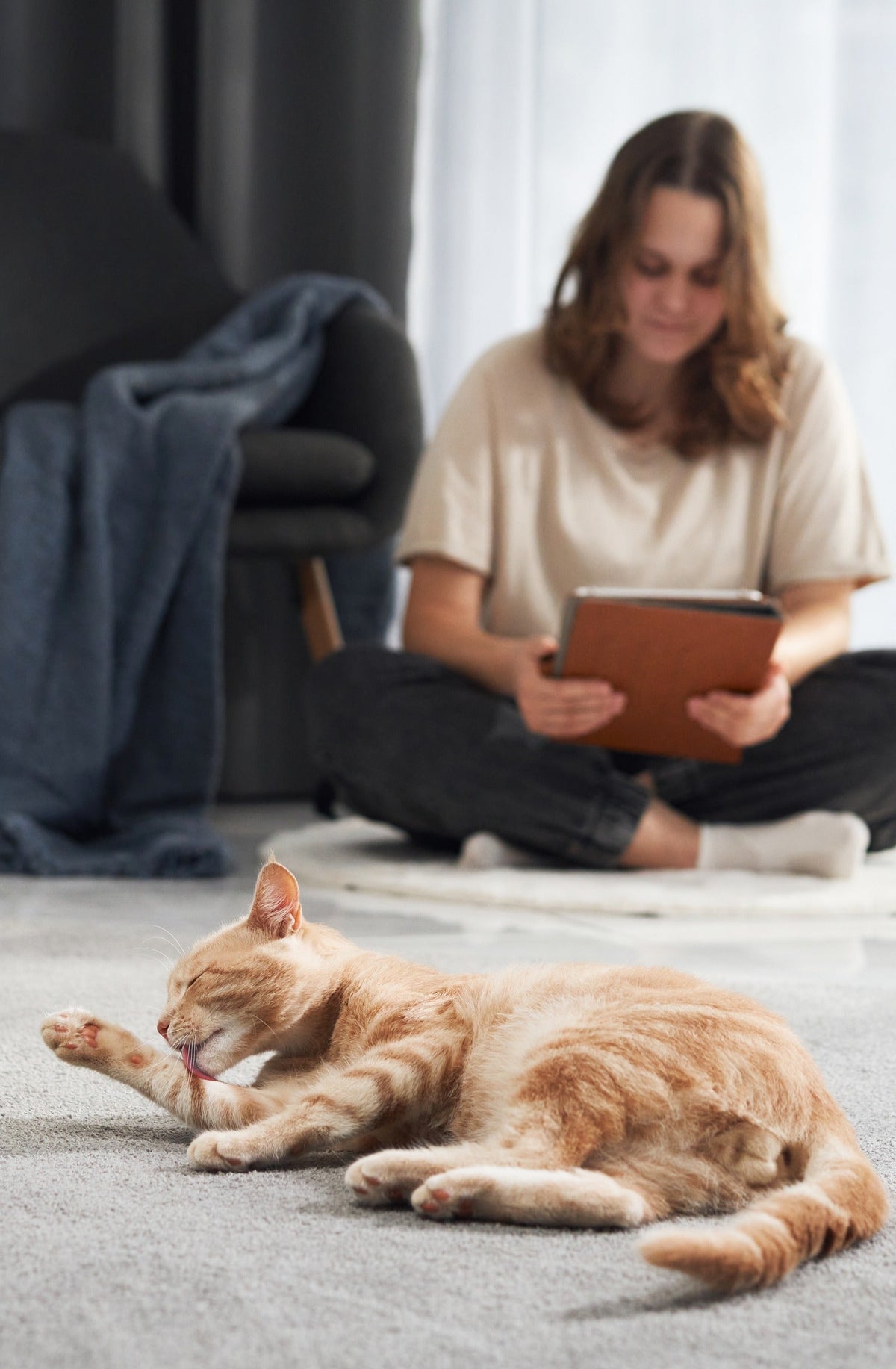 Orange cat grooming a front paw on a rug while a person sits nearby with a tablet.