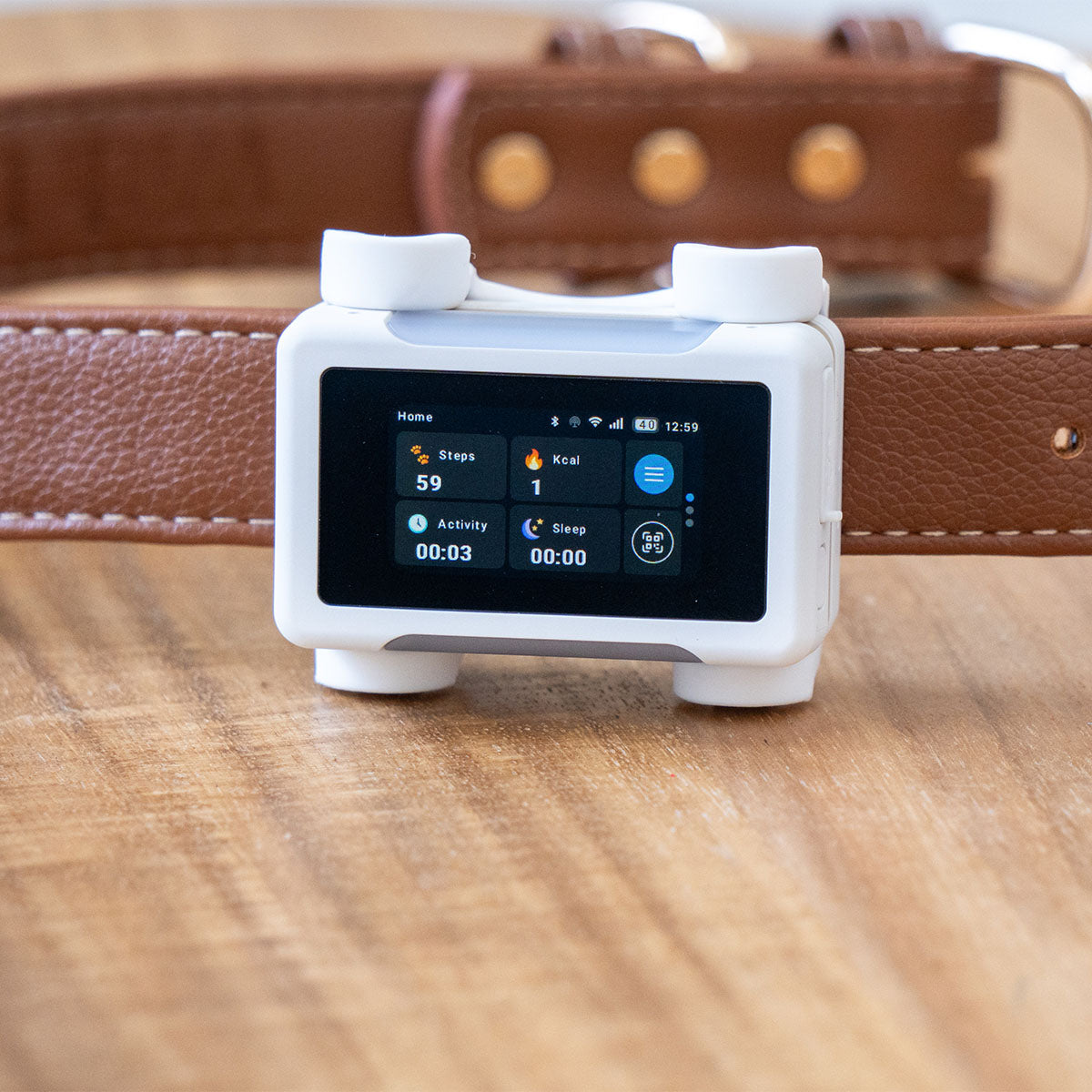 White / Gold | Smart GPS & Health Tracker: The White / Gold tracker on a brown leather collar on a wooden table