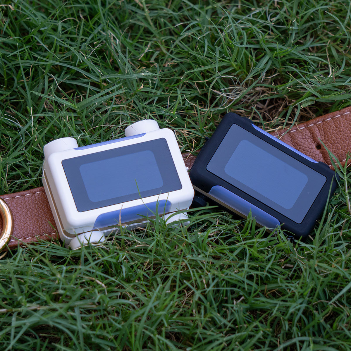 Black / Gold | Smart GPS & Health Tracker: The white and black trackers lying on grass beside a brown leather collar