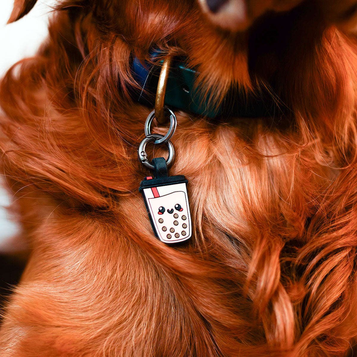Boba | Smart ID Tag: Close-up of the Boba tag in long red fur
