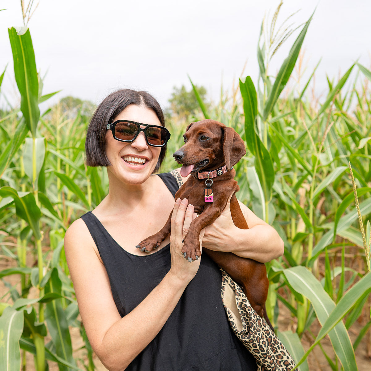 Chocolate Pink | Smart ID Tag: Smiling woman in a cornfield holding a dachshund wearing the Chocolate Pink tag