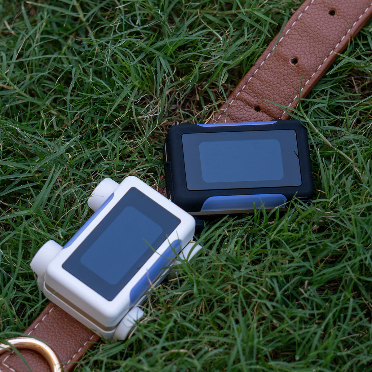 White / Gold | Smart GPS & Health Tracker: The white and black trackers lying on grass beside a brown leather collar