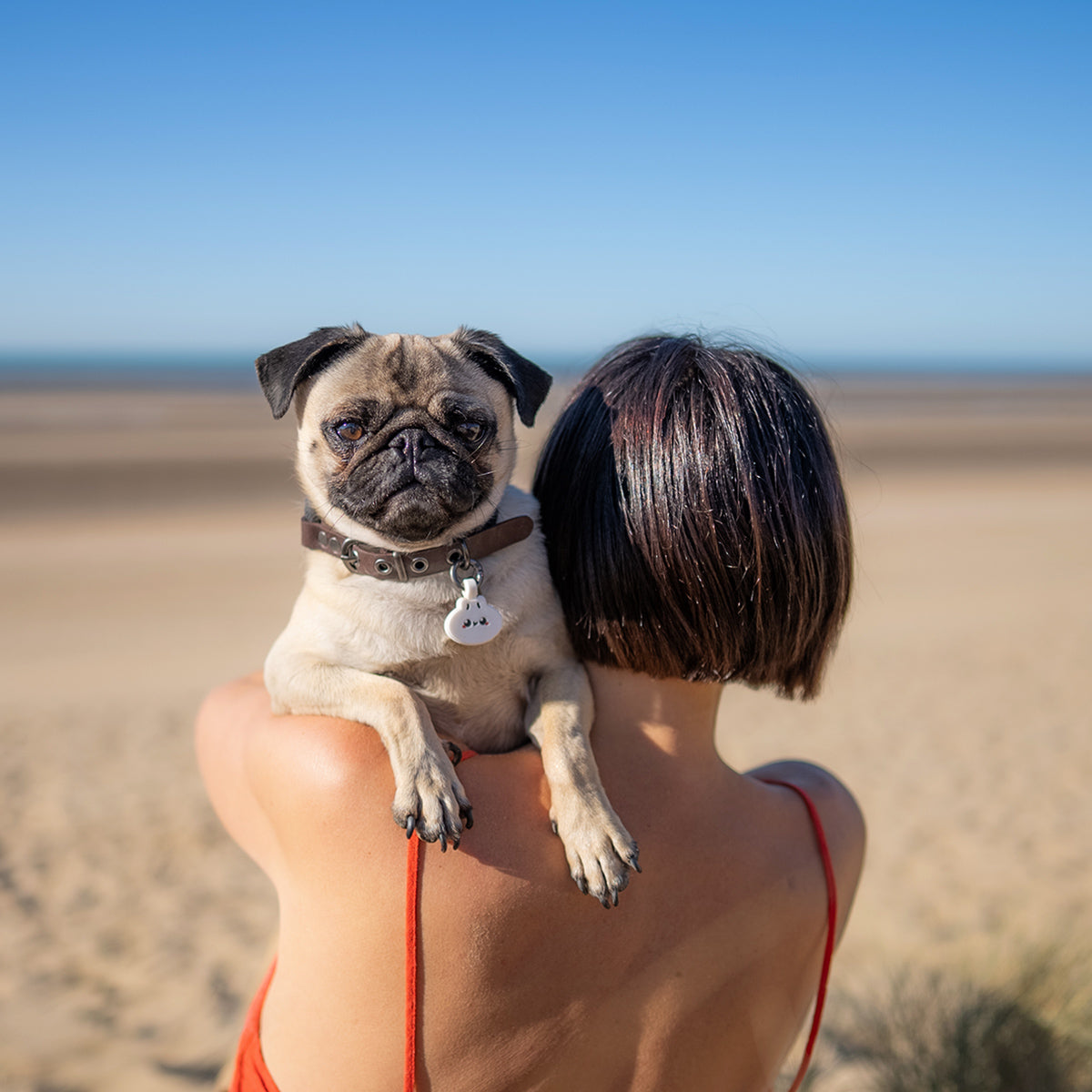 Dumpling | Smart ID Tag: Woman on the beach holding a pug wearing the Dumpling tag