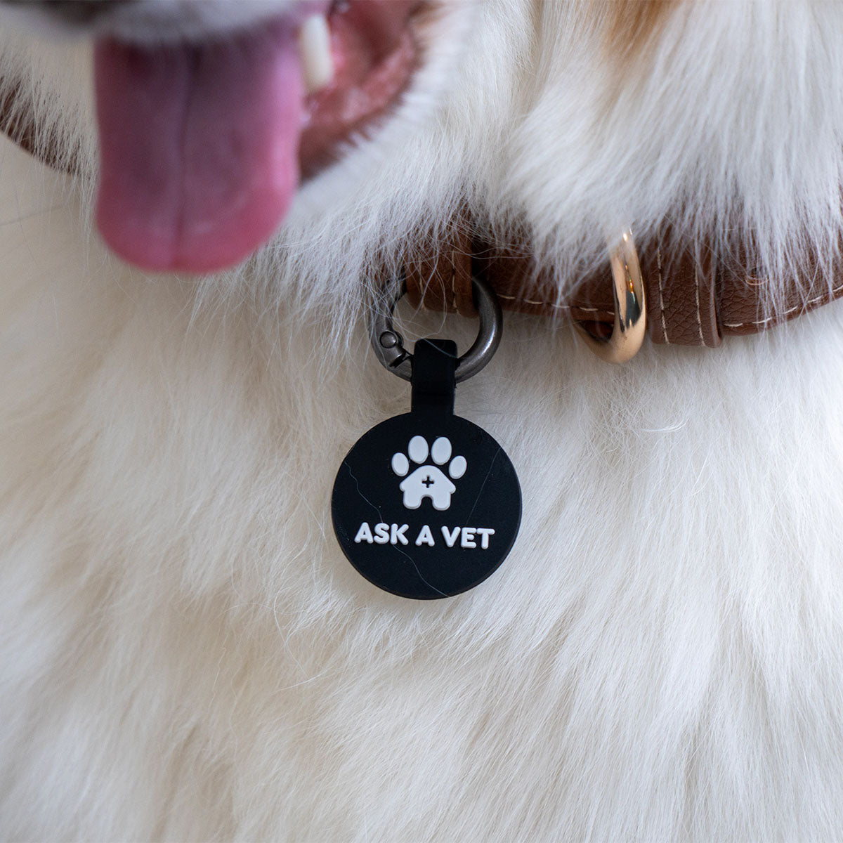 Black | Smart ID Tag: Close-up of the Black round tag with the Ask A Vet paw logo