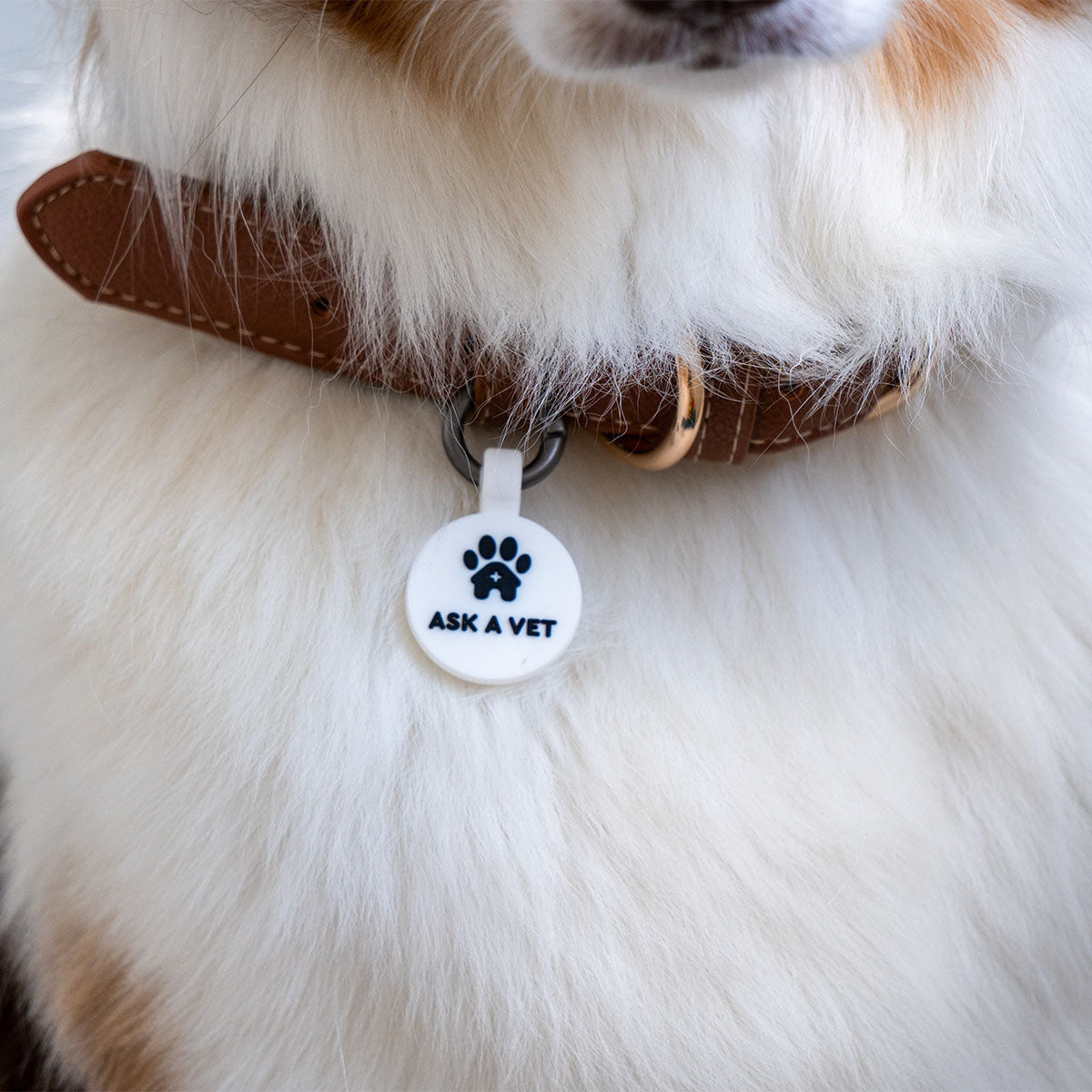 White | Smart ID Tag: Close-up of the White round tag on a brown leather collar