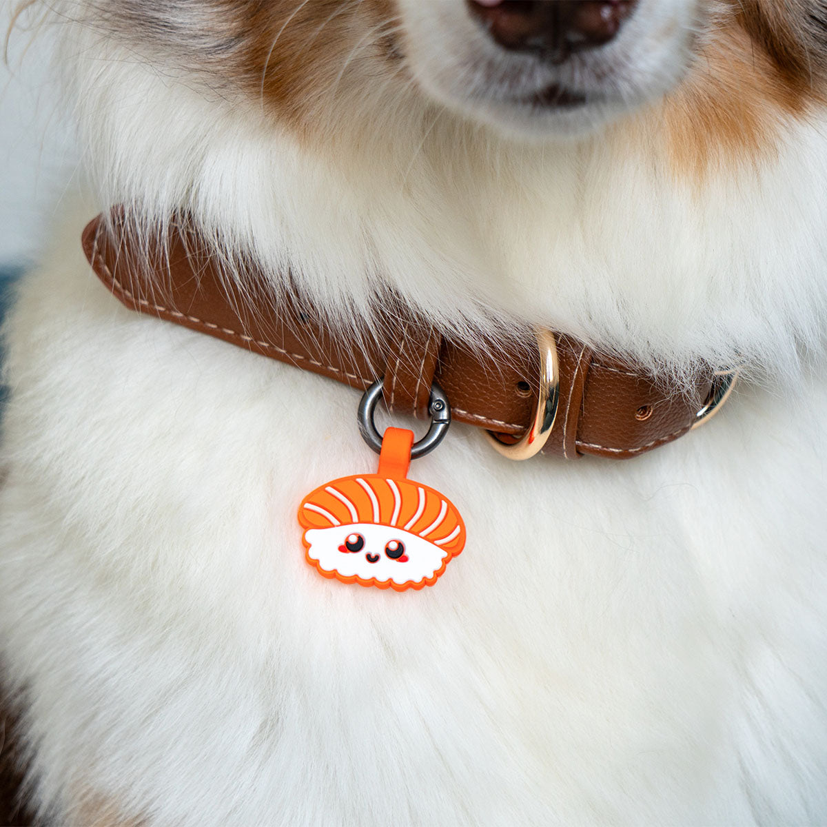 Salmon Sushi | Smart ID Tag: Close-up of the Salmon Sushi tag on a brown leather collar