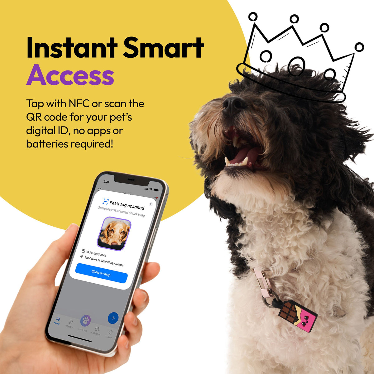 Chocolate Pink | Smart ID Tag: Dog wearing the Chocolate Pink tag beside a phone showing its profile, headed Instant Smart Access