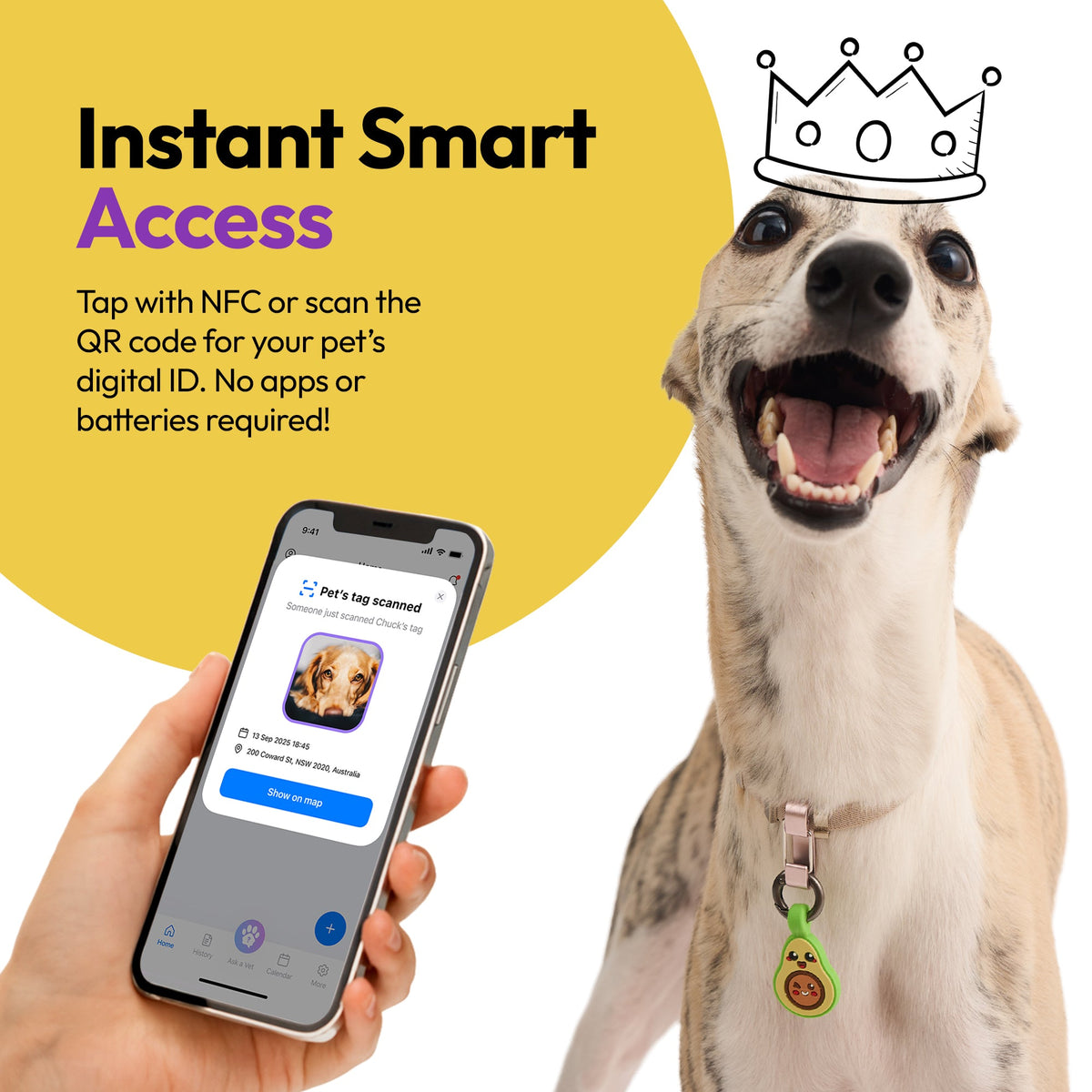 Avocado | Smart ID Tag: Whippet wearing the Avocado tag beside a phone showing its profile, headed Instant Smart Access