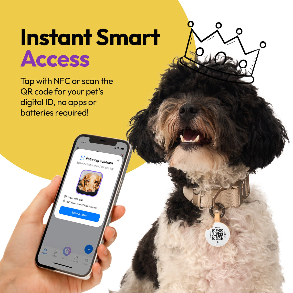 Donut | Smart ID Tag: Dog wearing the Donut tag beside a phone showing its profile, headed Instant Smart Access