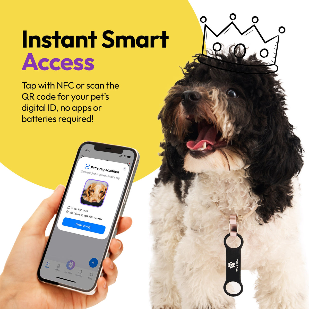 Slide-On | Smart ID Tag: Dog wearing the Slide-On tag beside a phone showing its profile, headed Instant Smart Access