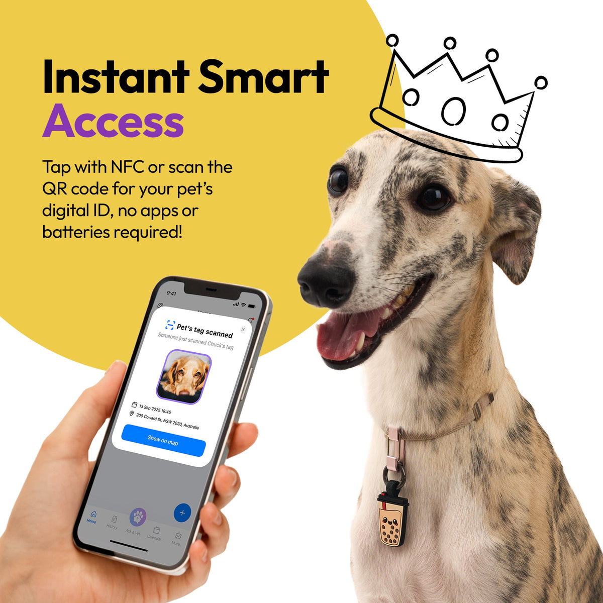 Boba | Smart ID Tag: Dog wearing the Boba tag beside a phone showing its profile, headed Instant Smart Access
