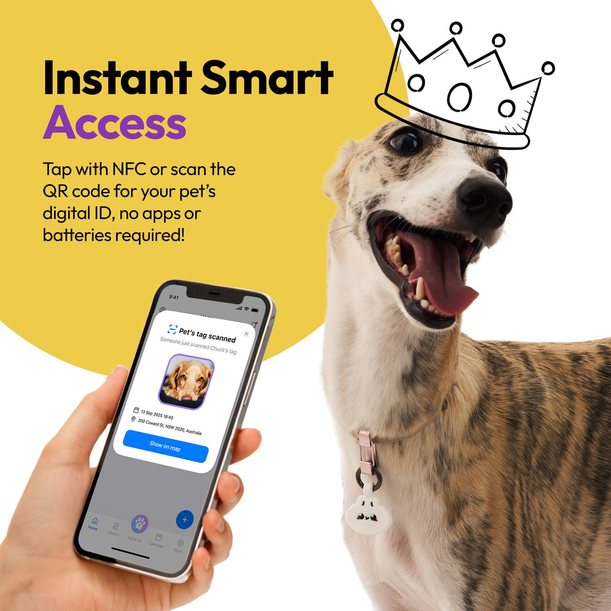 Dumpling | Smart ID Tag: Dog wearing the Dumpling tag beside a phone showing its profile, headed Instant Smart Access