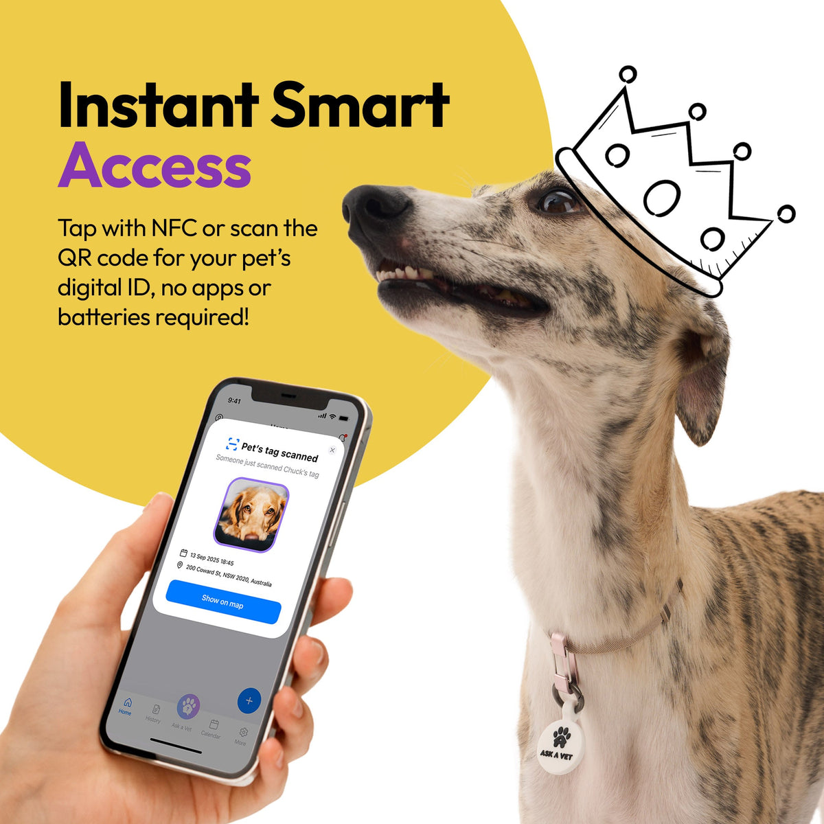 White | Smart ID Tag: Dog wearing the White tag beside a phone showing its profile, headed Instant Smart Access