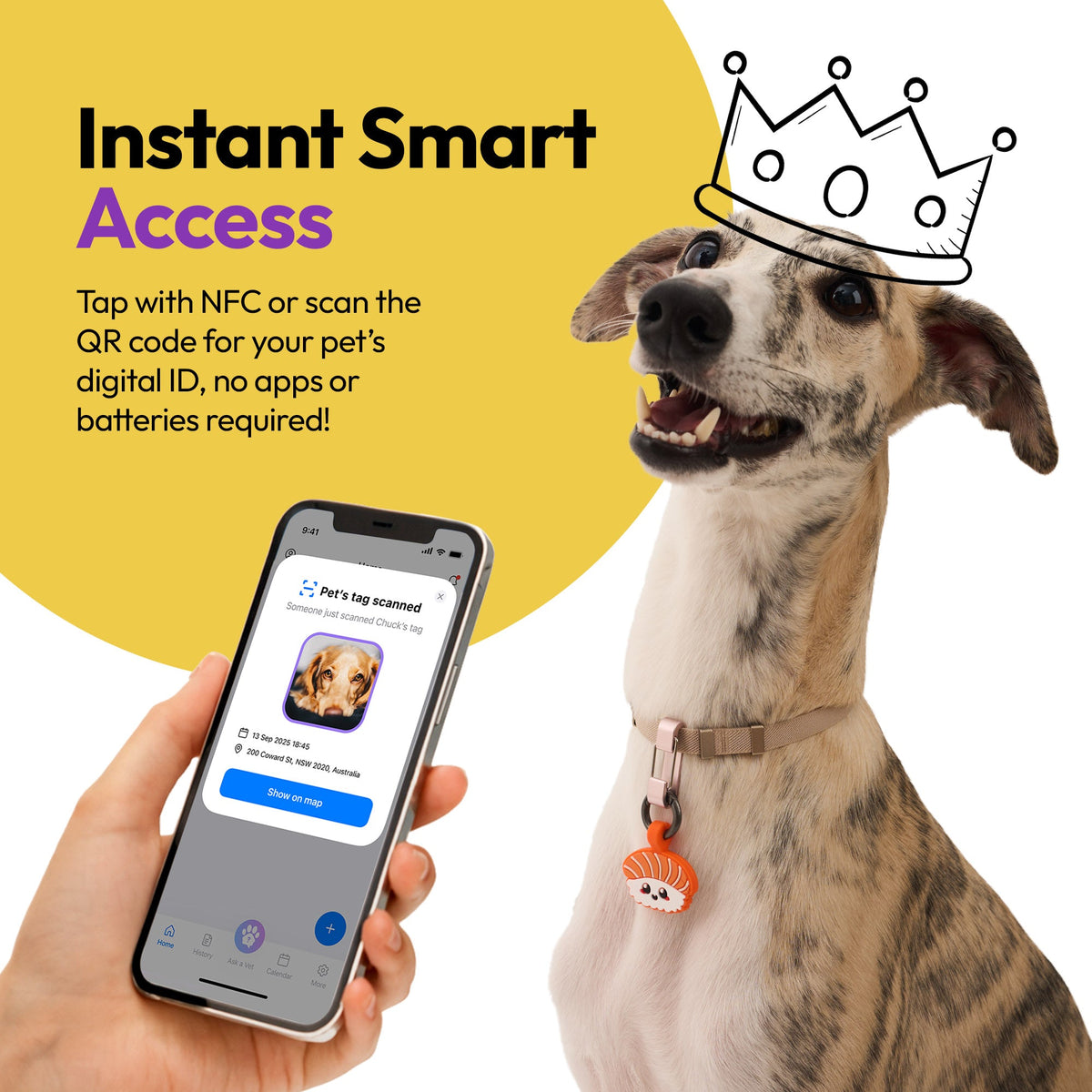Salmon Sushi | Smart ID Tag: Dog wearing the Salmon Sushi tag beside a phone showing its profile, headed Instant Smart Access