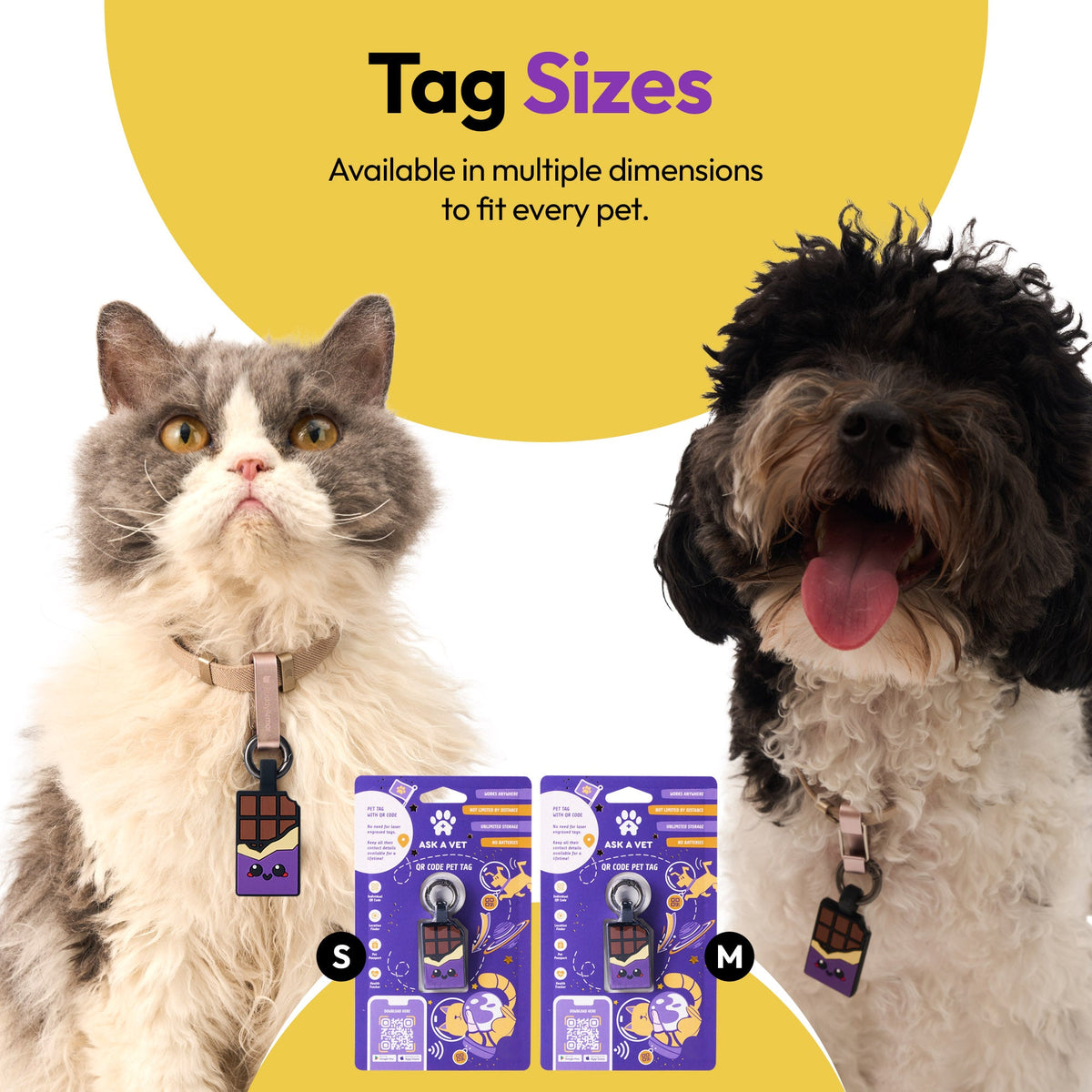 Chocolate Purple | Smart ID Tag: Cat and dog wearing Chocolate Purple tags above the Small and Medium packs, headed Tag Sizes