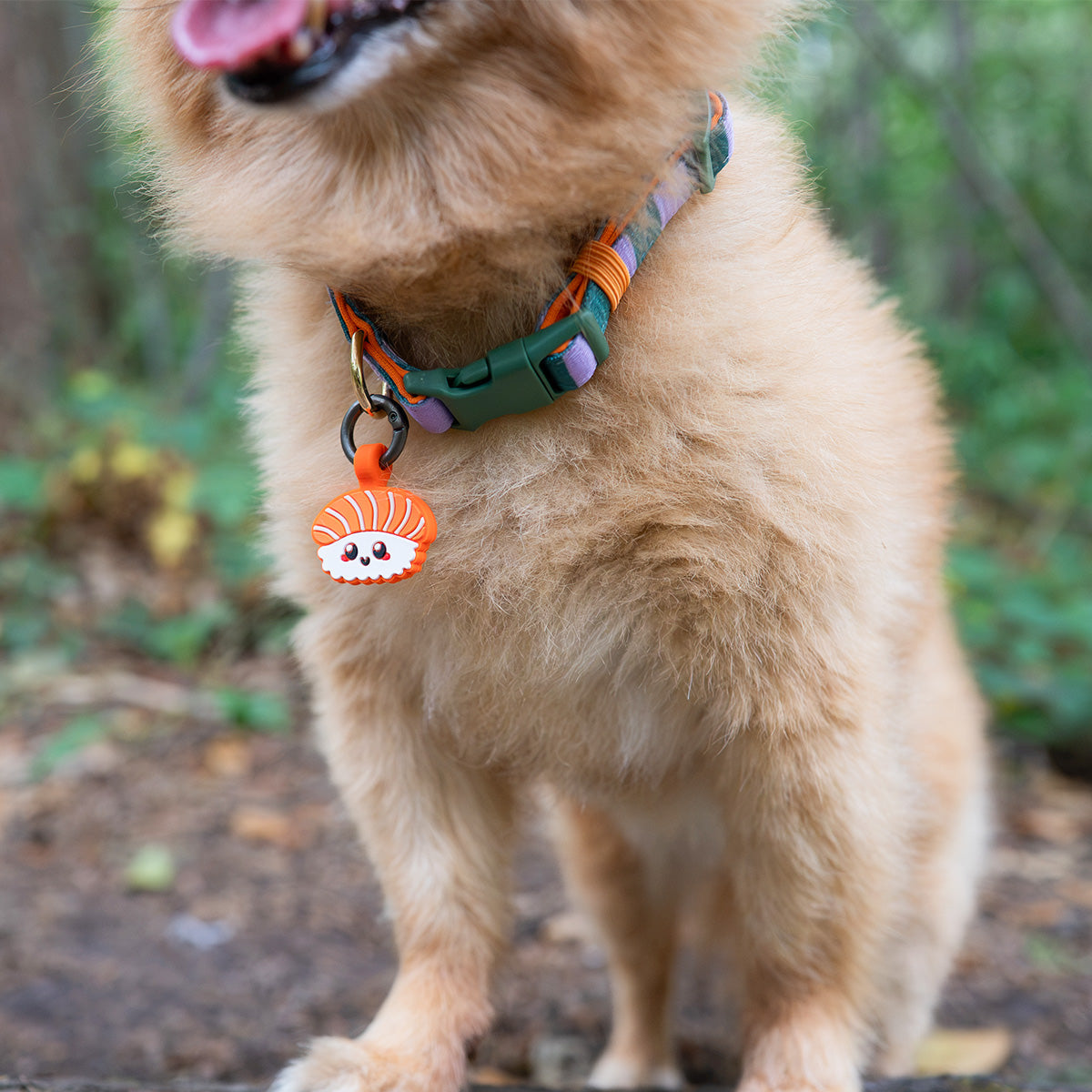 Salmon Sushi | Smart ID Tag: Close-up of the Salmon Sushi tag on a colourful collar