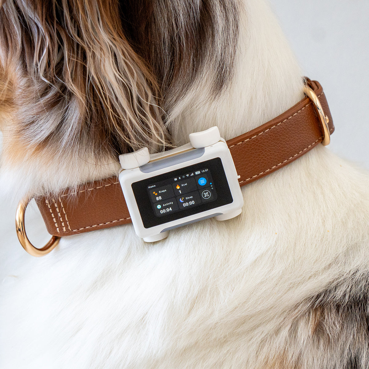 White / Gold | Smart GPS & Health Tracker: Close-up of the White / Gold tracker on a dog's brown leather collar