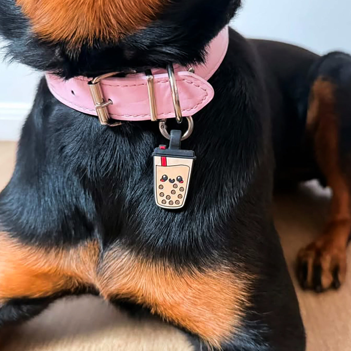 Boba | Smart ID Tag: Close-up of the Boba tag on a Rottweiler's pink collar