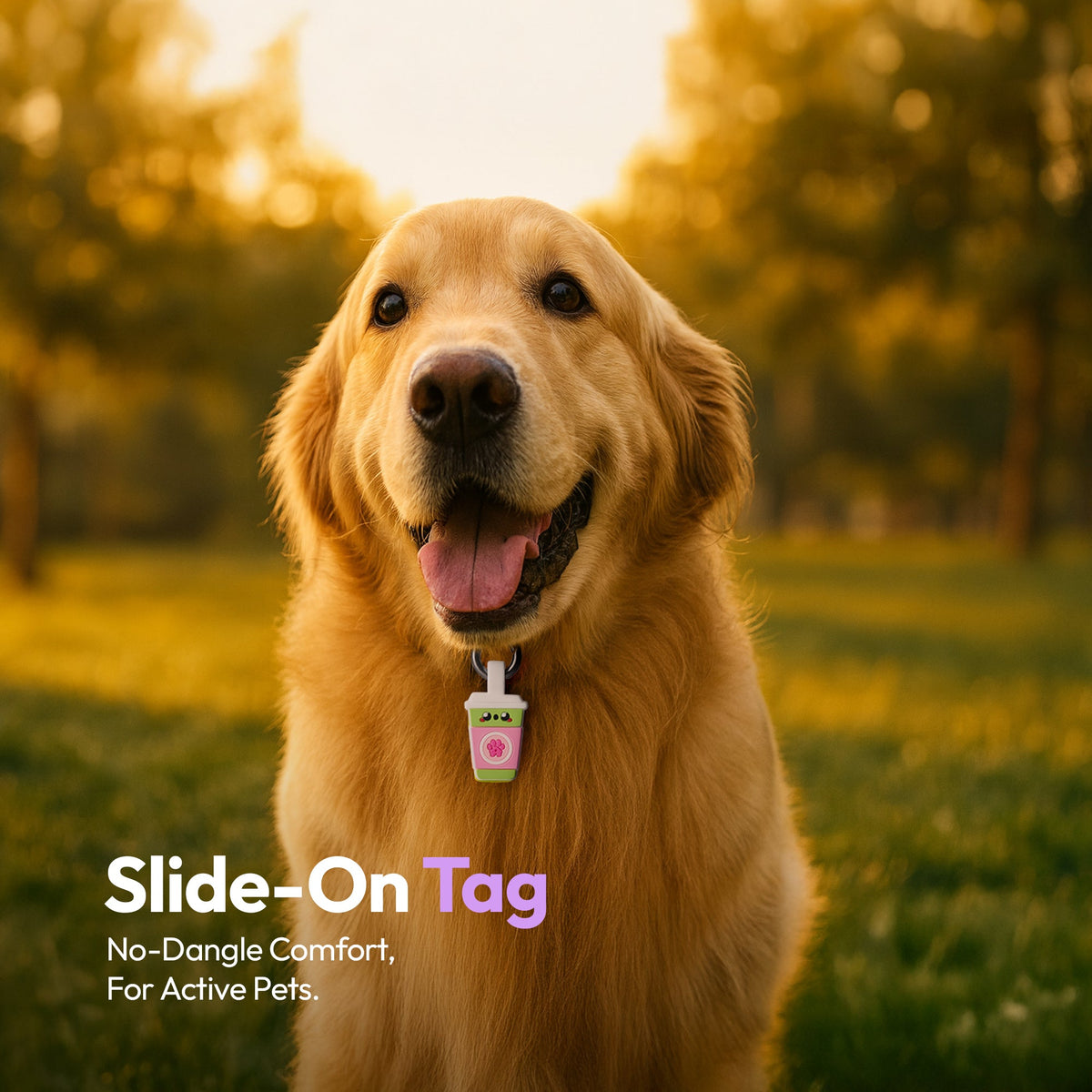 Sakura Matcha | Smart ID Tag: Dog wearing the Sakura Matcha tag, headed Slide-On Tag