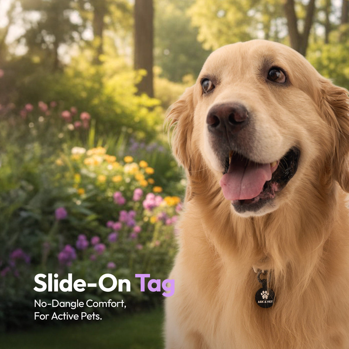 Black | Smart ID Tag: Dog wearing the Black tag, headed Slide-On Tag