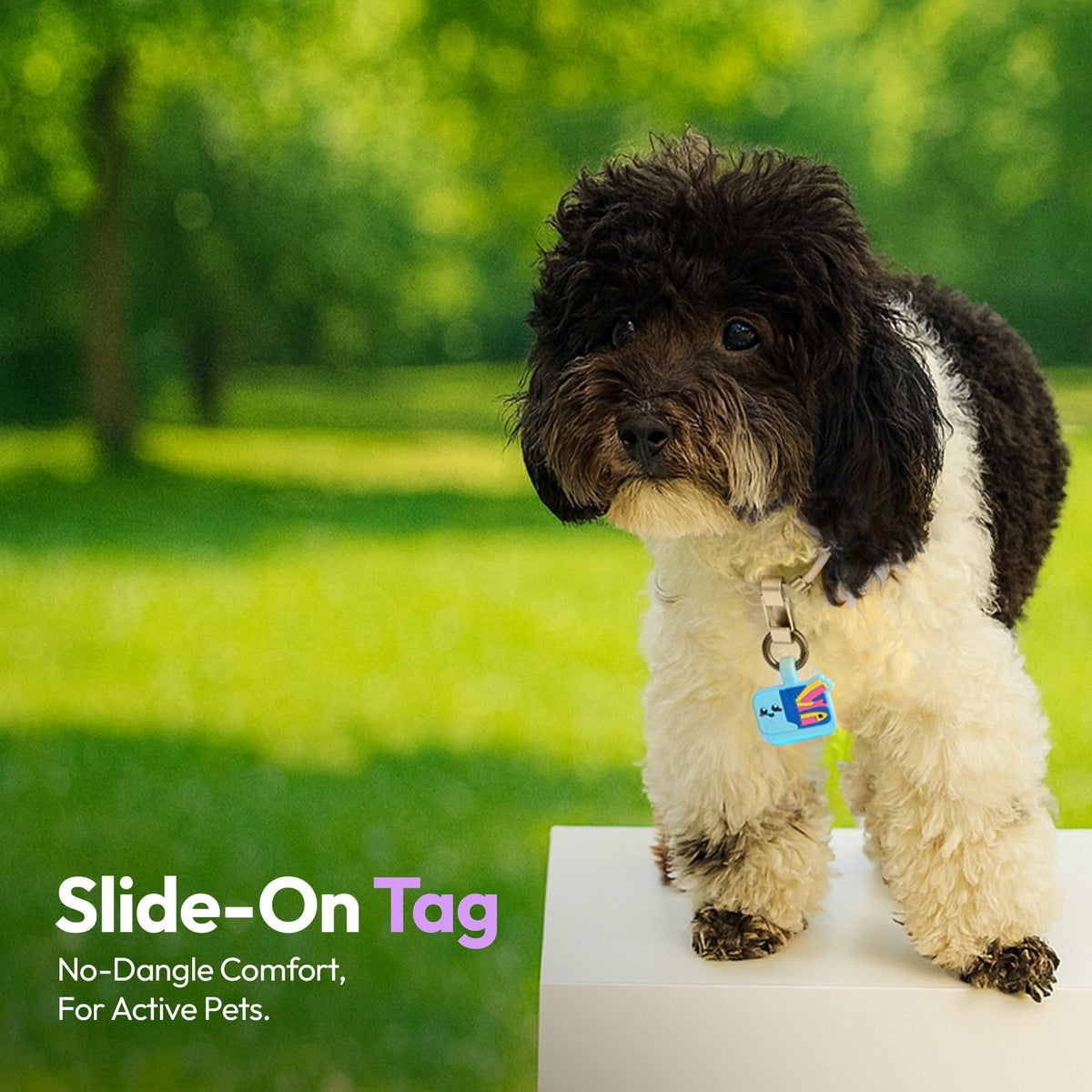 Sardines | Smart ID Tag: Dog wearing the Sardines tag, headed Slide-On Tag