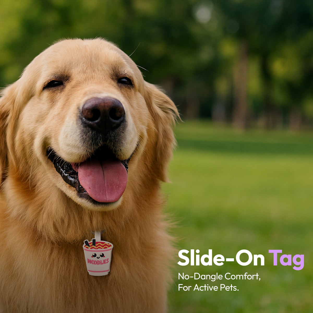 Ramen | Smart ID Tag: Dog wearing the Ramen tag, headed Slide-On Tag