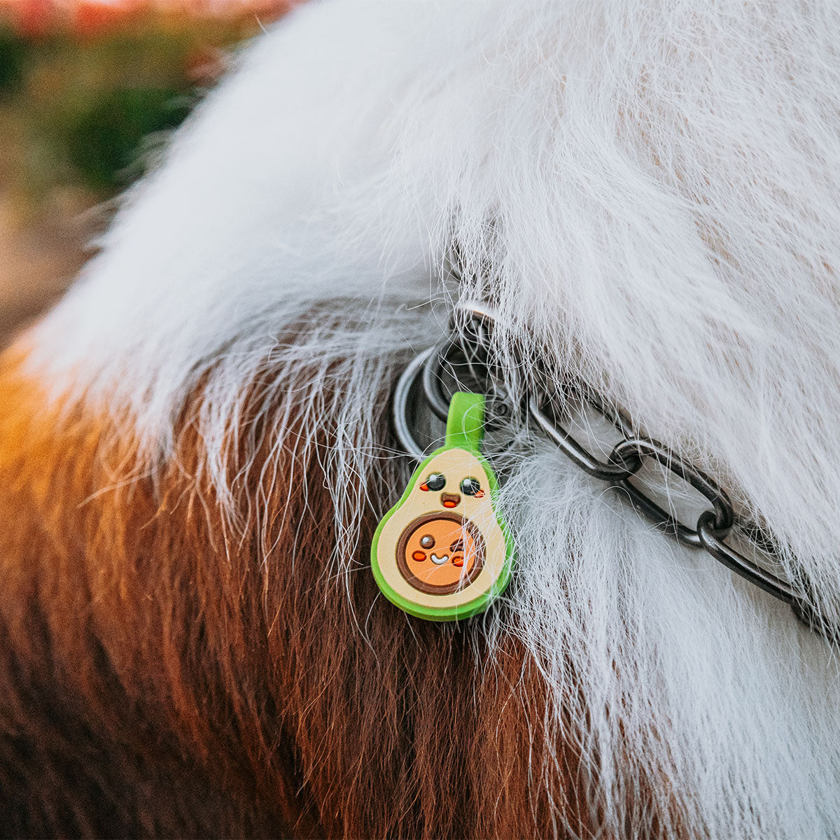 Avocado | Smart ID Tag: Close-up of the Avocado tag on a chain collar in long fur