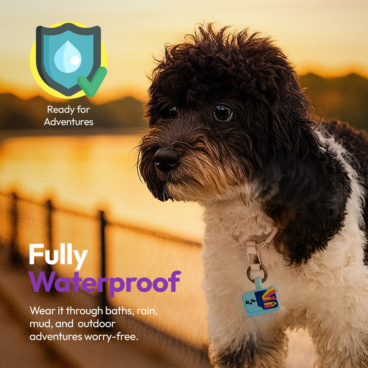 Sardines | Smart ID Tag: Dog wearing the Sardines tag outdoors, headed Fully Waterproof