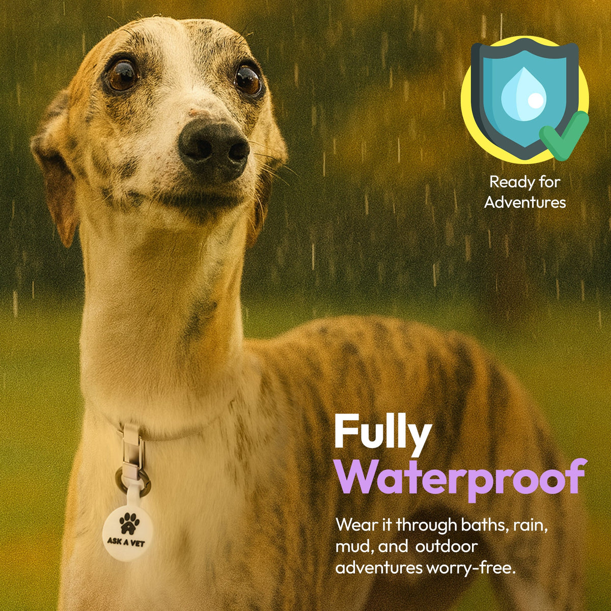 White | Smart ID Tag: Dog wearing the White tag outdoors, headed Fully Waterproof