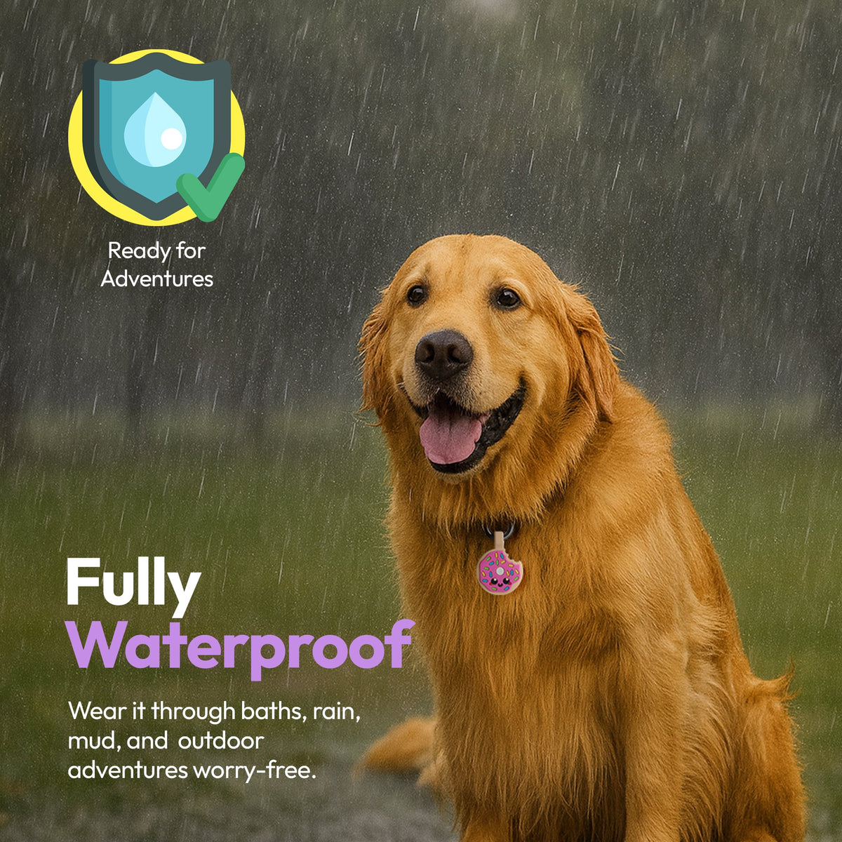 Donut | Smart ID Tag: Dog wearing the Donut tag outdoors, headed Fully Waterproof