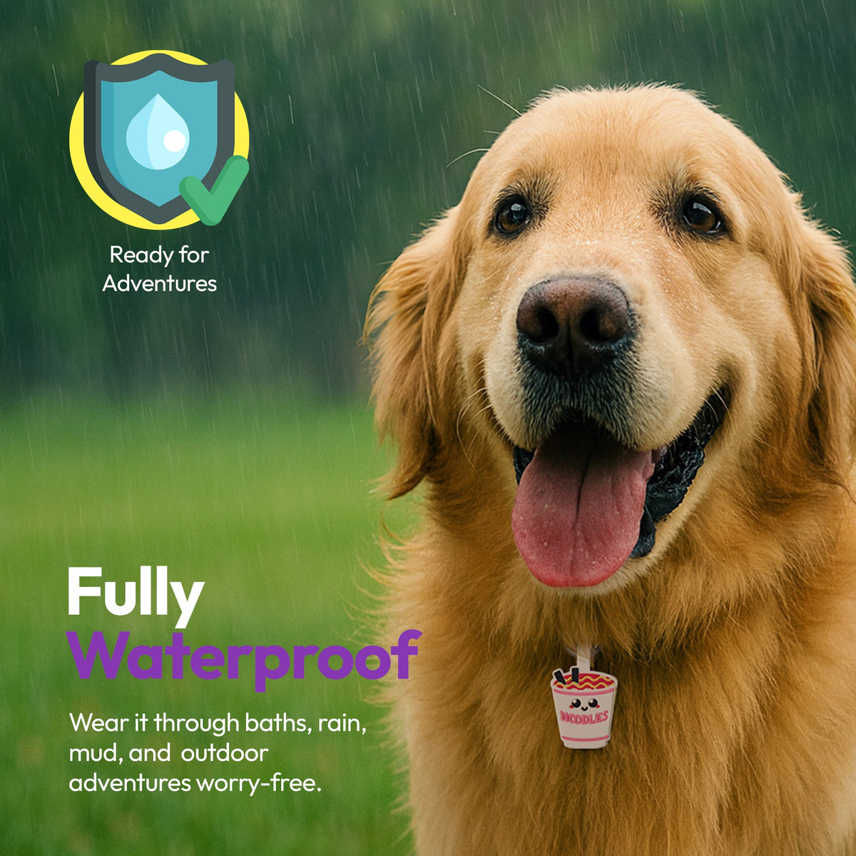 Ramen | Smart ID Tag: Dog wearing the Ramen tag outdoors, headed Fully Waterproof