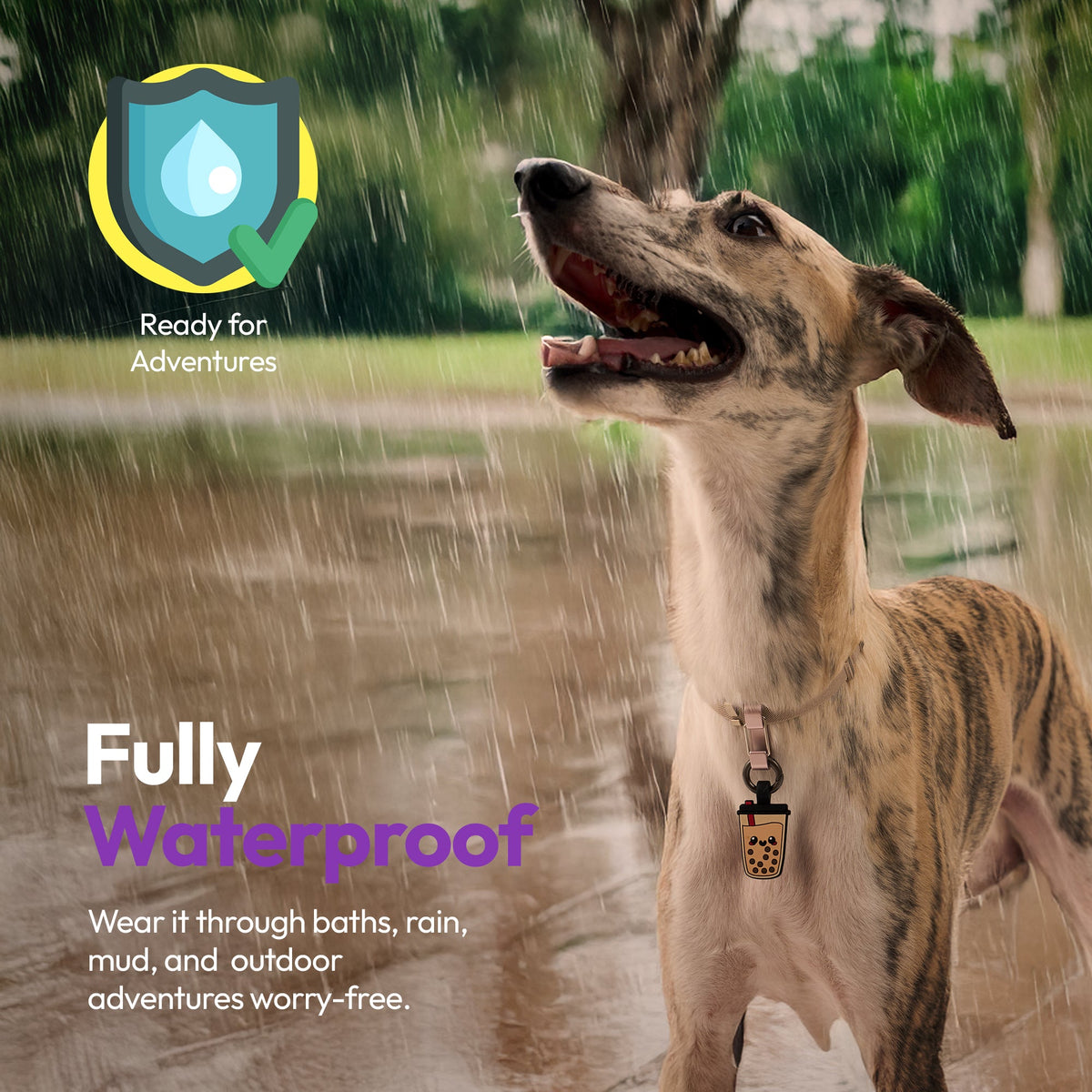 Boba | Smart ID Tag: Dog wearing the Boba tag outdoors, headed Fully Waterproof