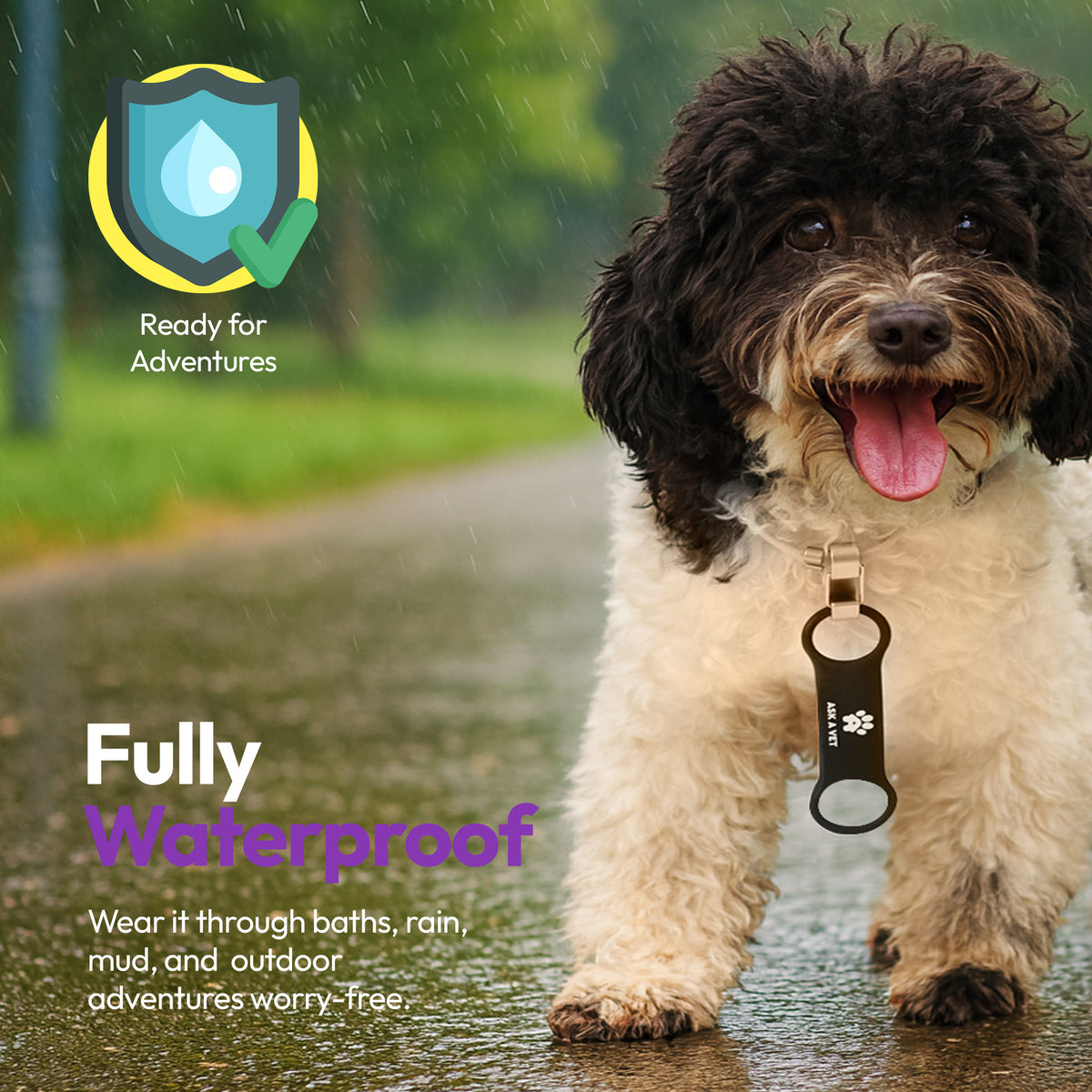 Slide-On Smart Pet ID Tag – NFC & QR Code Silicone – Vet Created