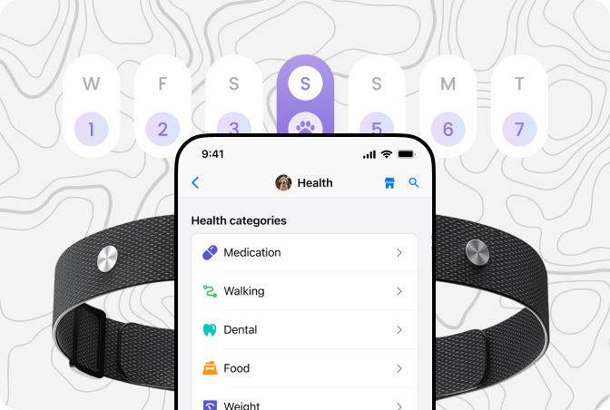 Your Pet’s Wellness, Monitored in Real Time – From Head to Tail