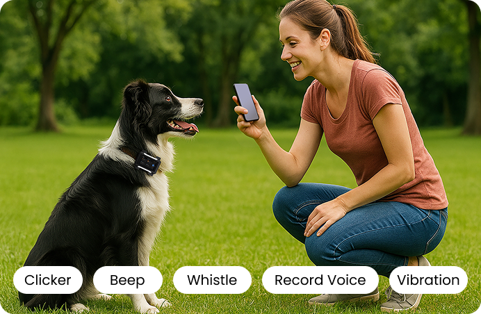 Vet-Designed Training Support, Right from the Collar