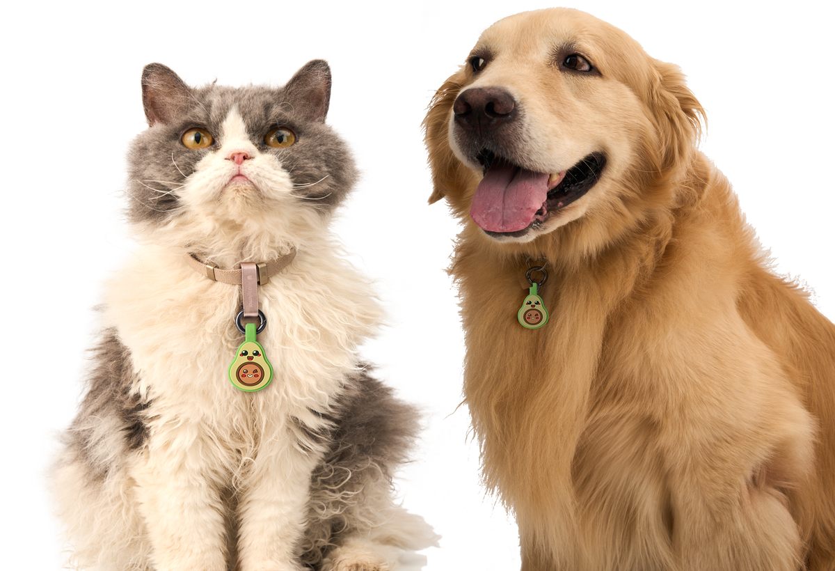 ID Tags
